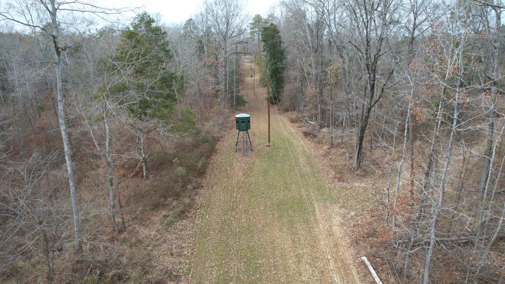 400+/ Acres TURNKEY hunting camp in Claiborne County