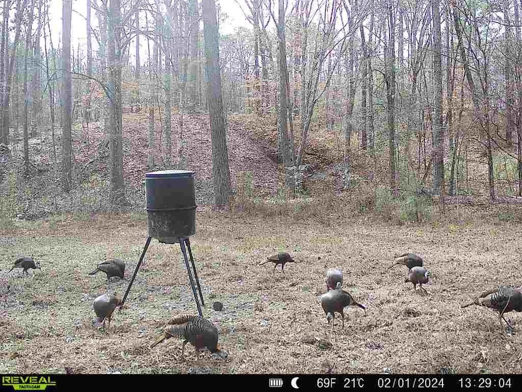 55+/ Acres Land & Camp in Crosby, MS Wilkinson County