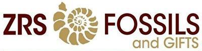 ZRS Fossils and Gifts LOGO small