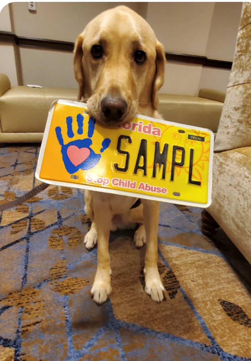 Facility Dog with License Tag.png