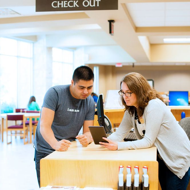 Student using Library Services