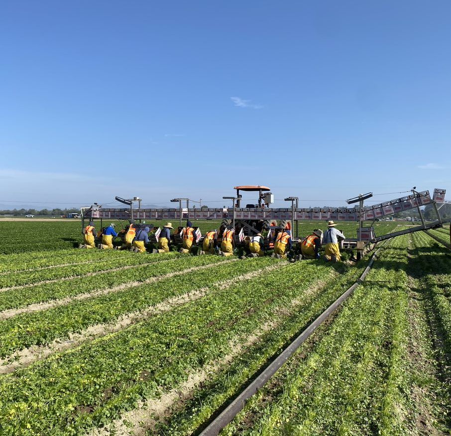 FF199AD5-5264-4413-8D26EB47483A902D_source image