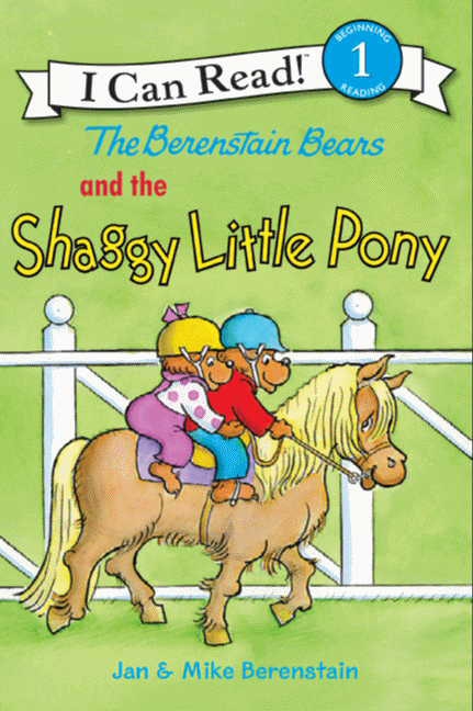 shaggy little pony