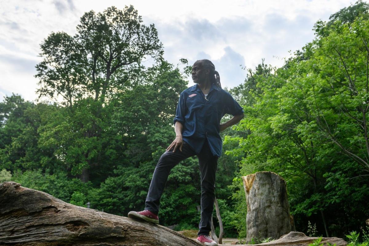 
Reggie stands atop a large, tilted tree trunk. One hand rests on his hip. He stares off into the distance. A cloudy sky and tall bright green trees are visible behind him.
