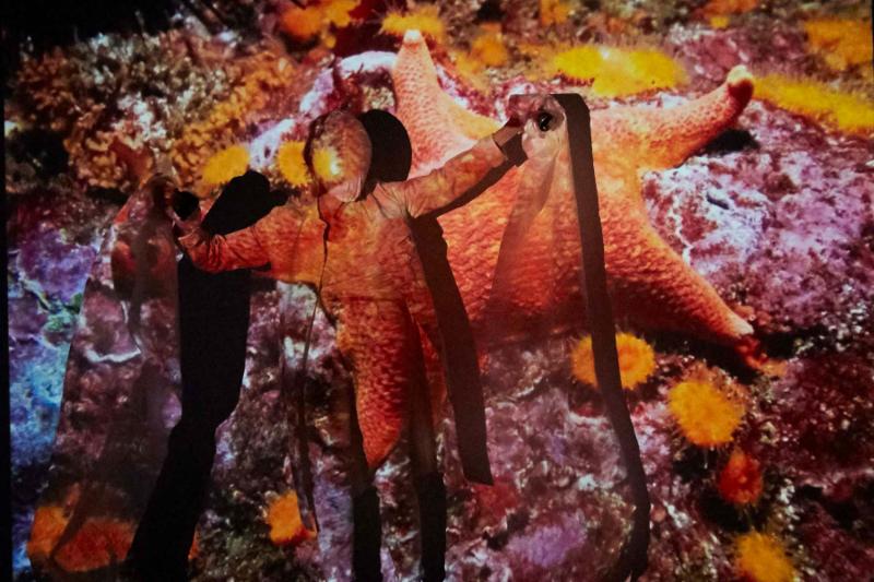 A vivacious image of the sea projects on the wall and Joan. Joan almost blends into the project of red, yellow, and purple coral. A massive starfish is projected behind her. Her dark shadow looms over her, hiding part of the image of the starfish. 