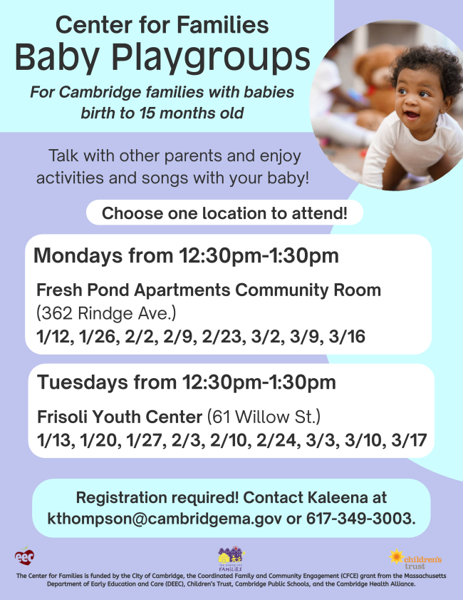 Baby Playgroups flyer