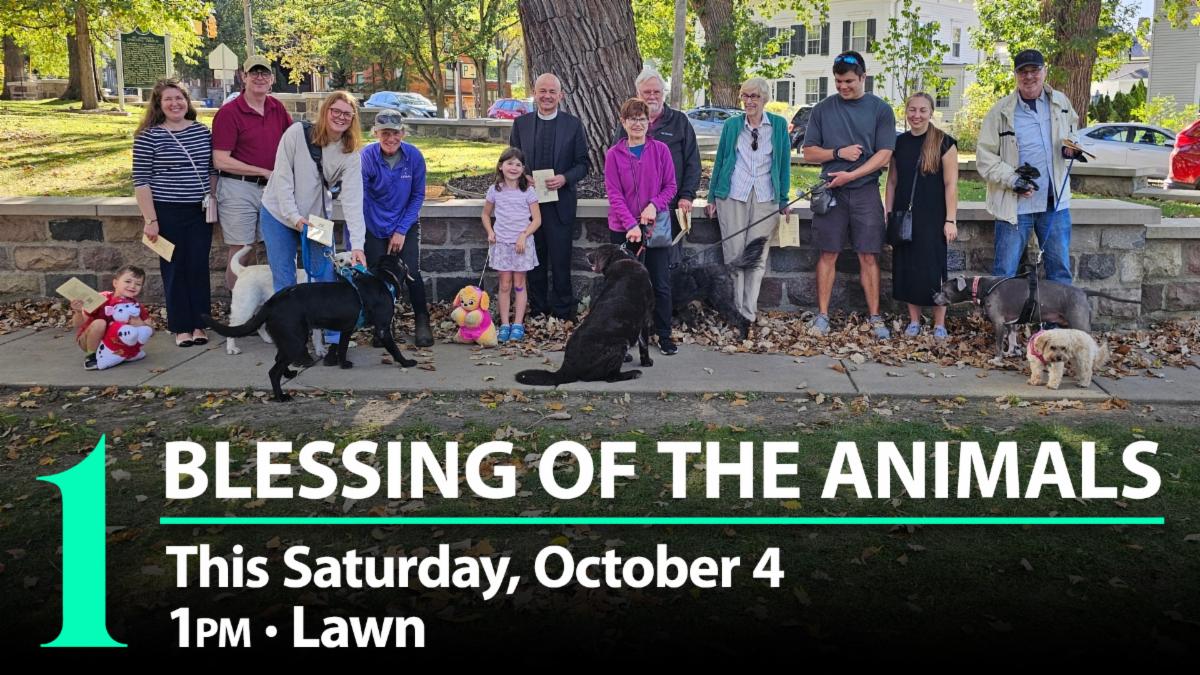 People and pets gathered for the blessing of the animals
