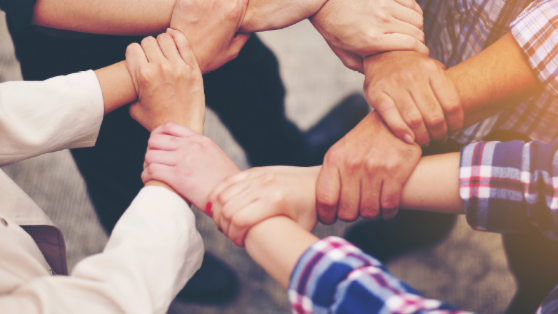 ofbc-newsletter-november-21