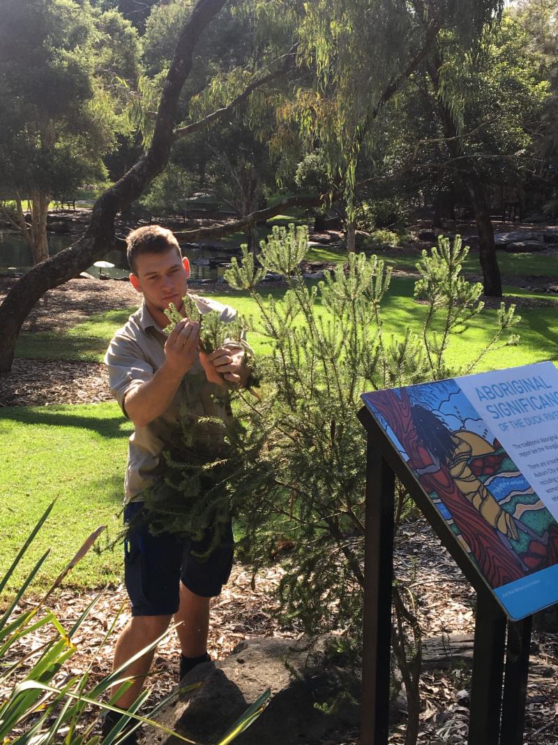 Cumberland Council Enews 28 May 2019