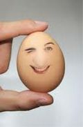 egg