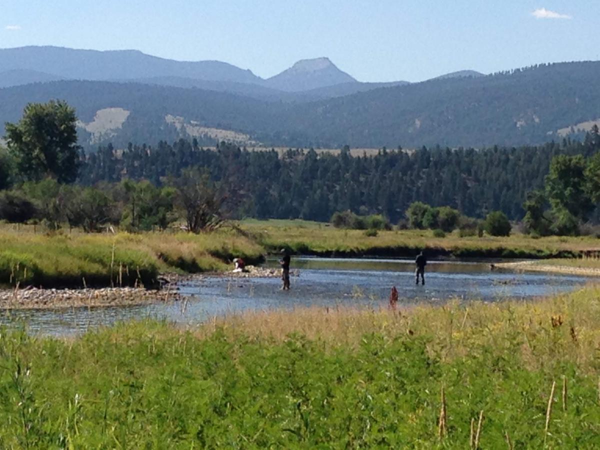 UCFR _field_floodplain.jpg
