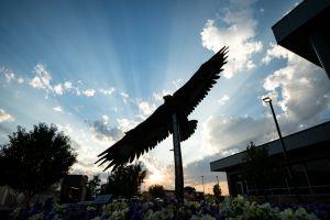 Eagle Statue at Sunset
