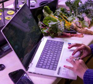 Working on a computer