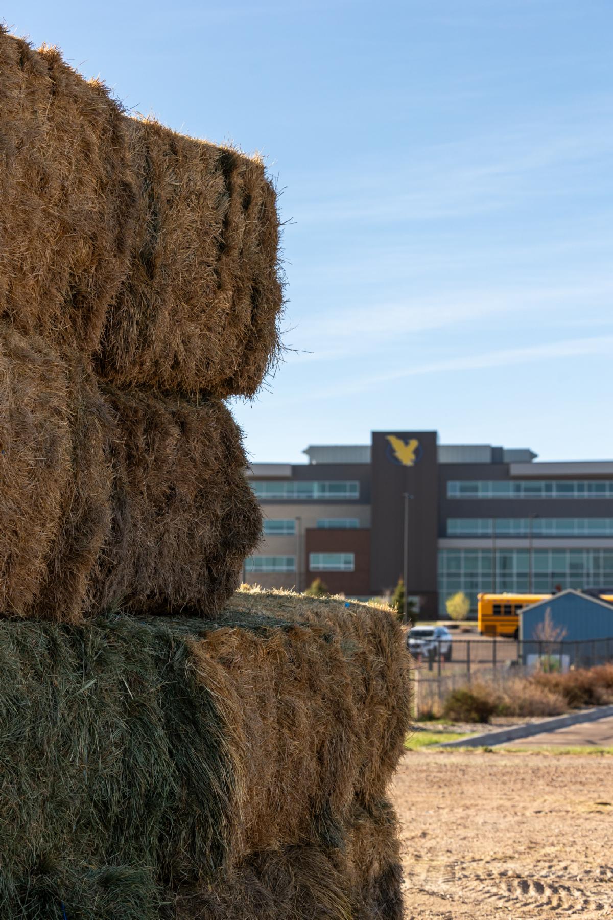 The Clay Pathfinder Building is visible in the distance beyond hay bales scattered across a field.