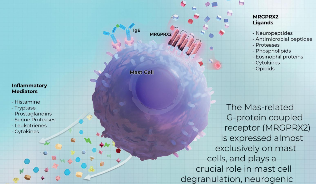 Recommended Licensing Asset: Best-in-class MRGPRX2 antagonist