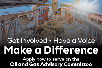 Join a city board or commission and link with more information.