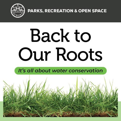 Back to our roots with link for more info