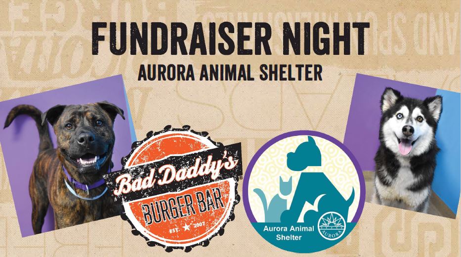 This Is Aurora City Newsletter July 27, 2023