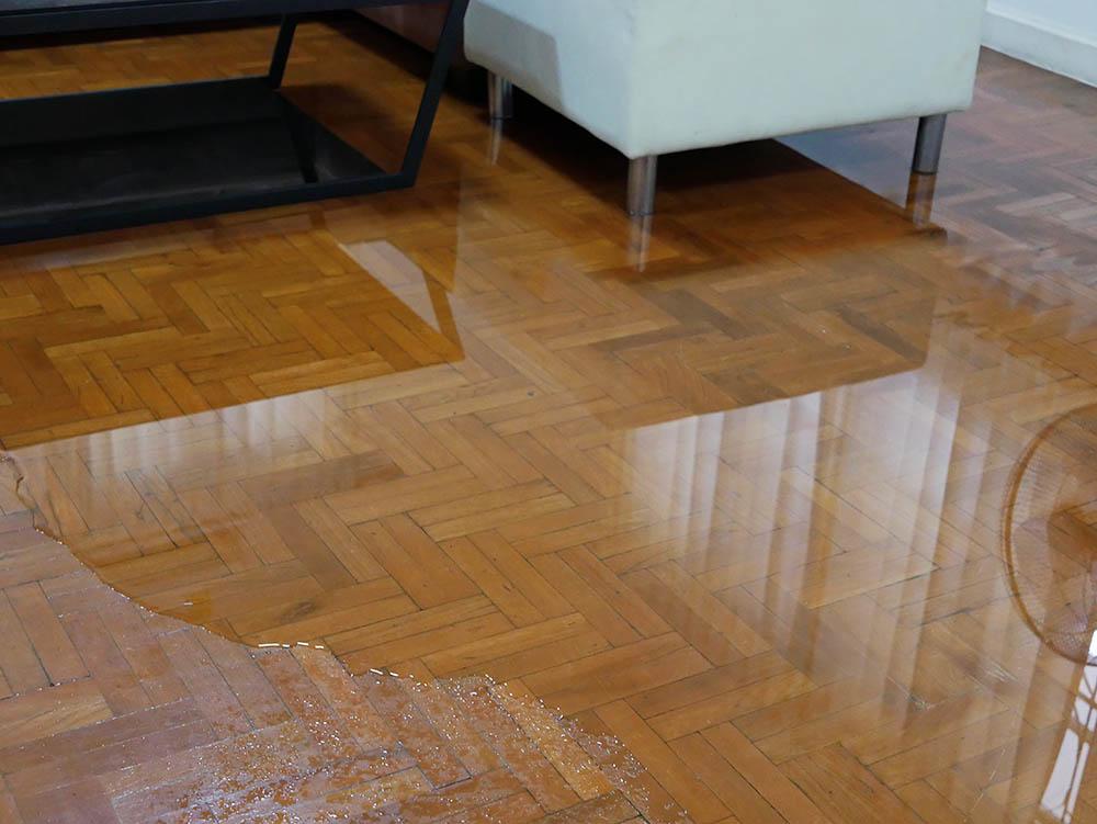 This image of water flooding a living room parquet floor links to the Floodsmart website