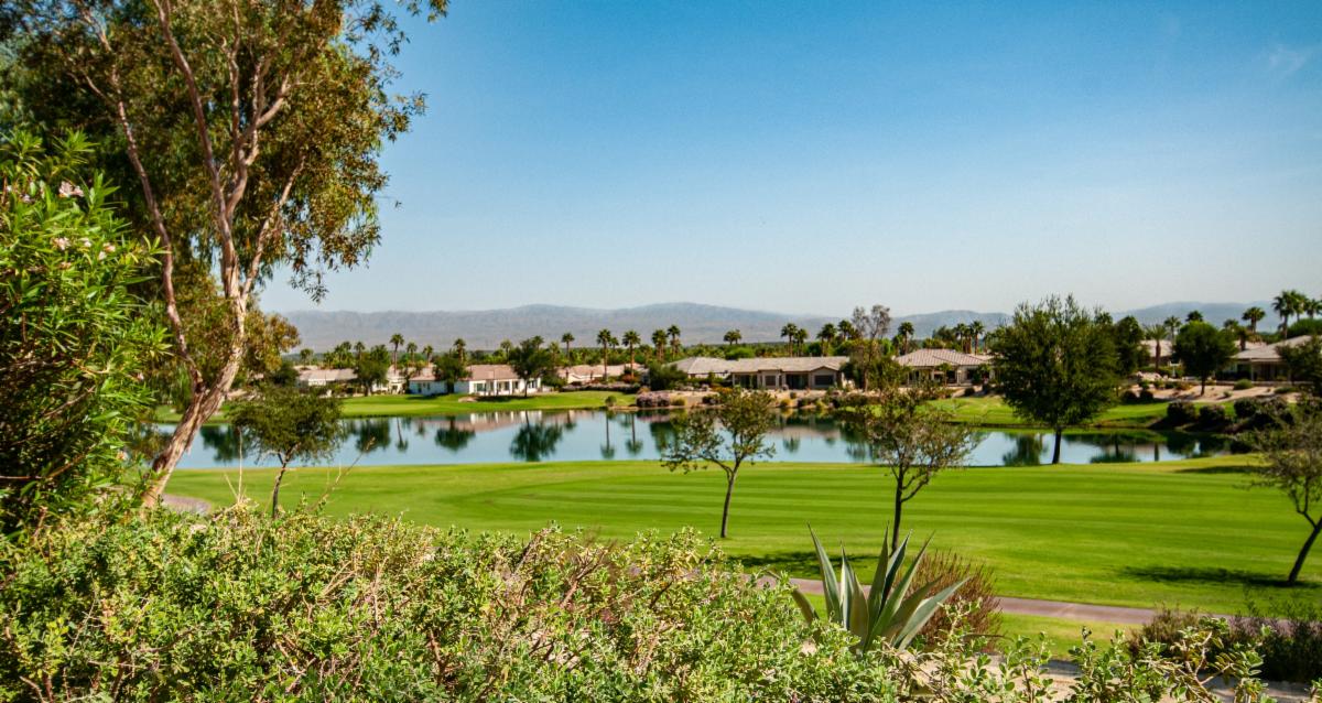 Trilogy Market Still Going Strong