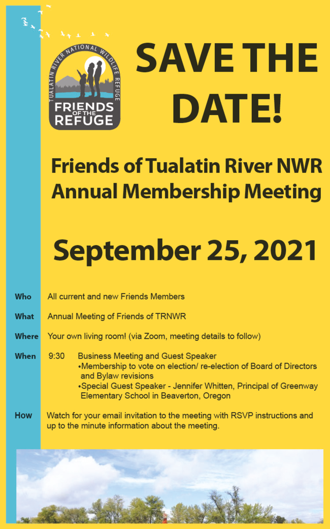 AM 2021_Save the Date Flyer.png