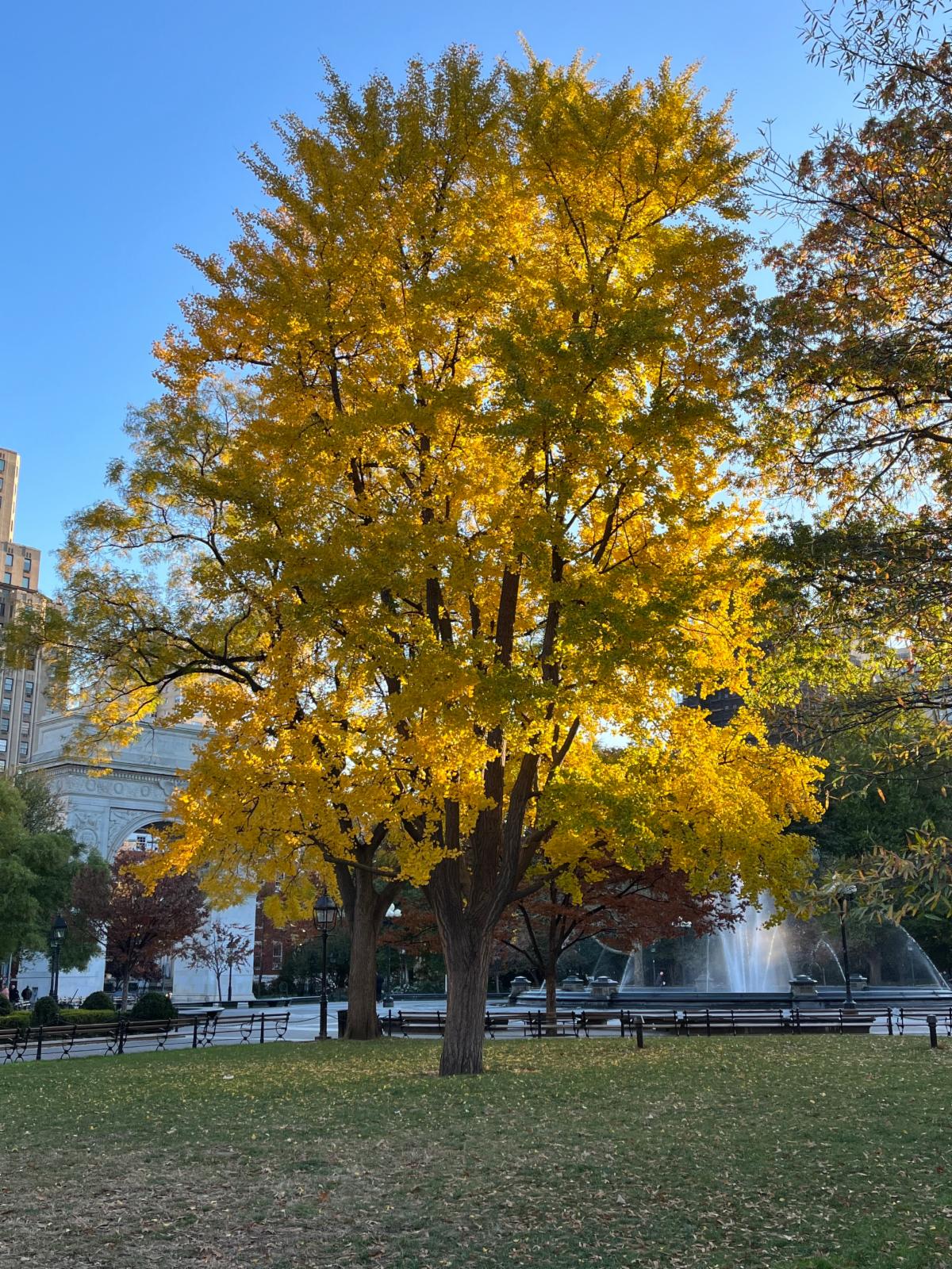 Parish News: November 26