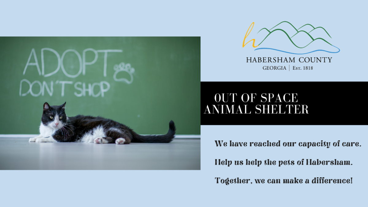 July Newsletter Employee Spotlight, News Updates and More