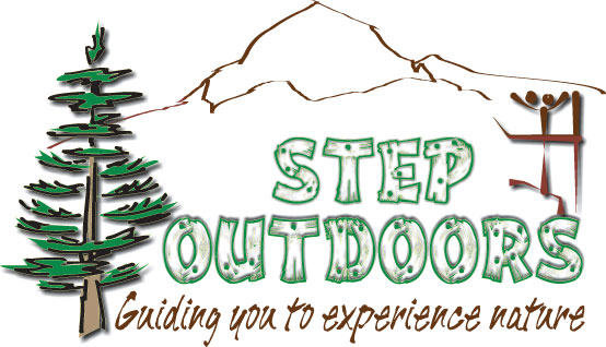 Step Outdoors, LLC - Logo