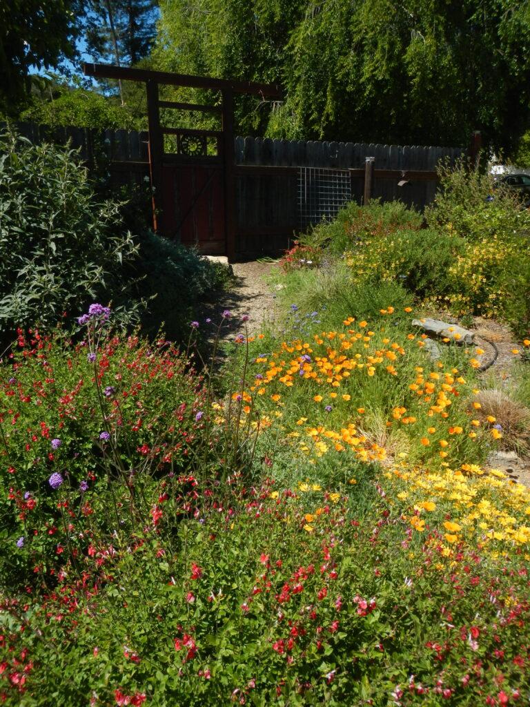 Home Ground Habitats â Novato