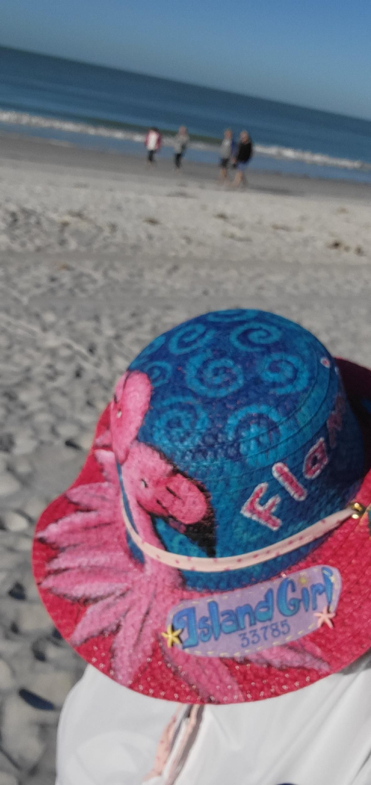 pic of flamingo hat