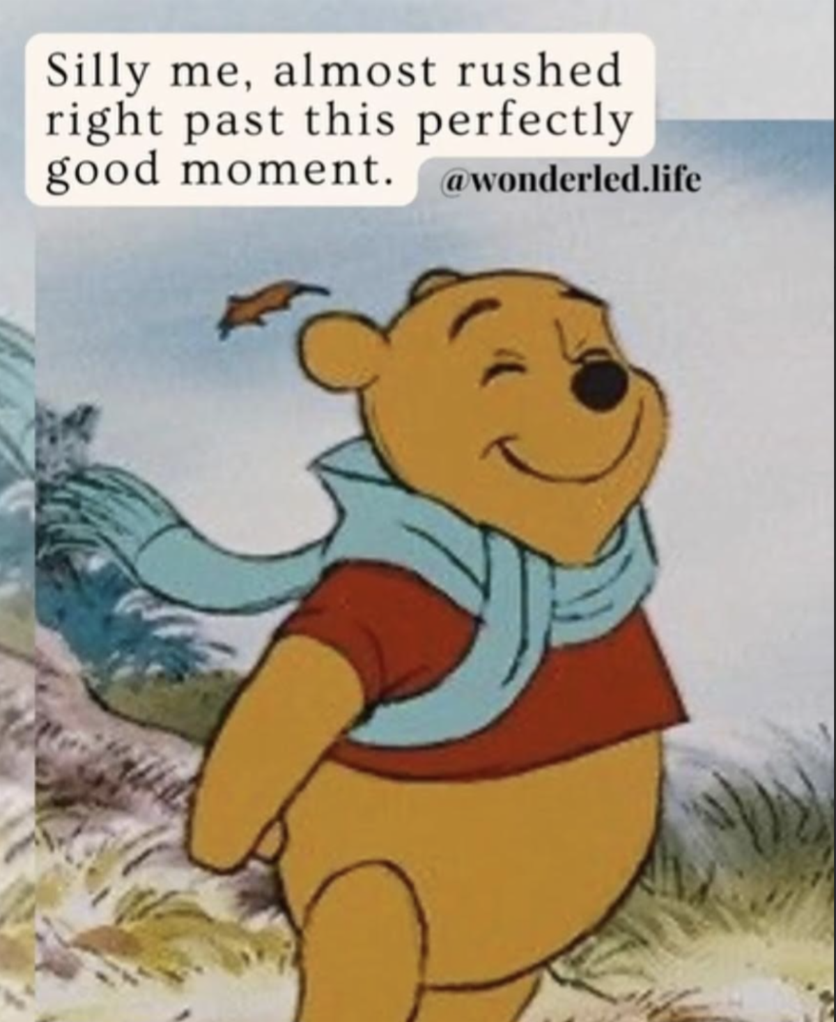 Pooh cartoon