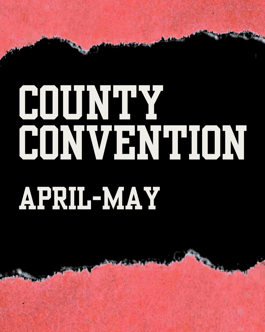 Your Essential State Convention Guide