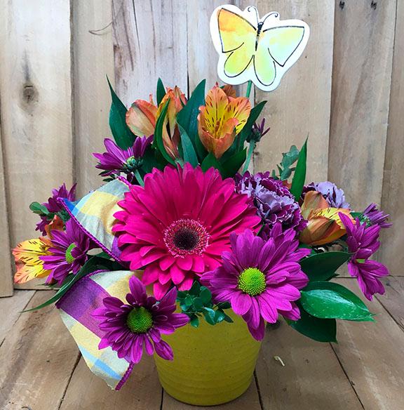 Daisy Smiles Floral Arrangement - available at Hoffmann Hillermann Nursery and Florist - www.hillermann.com. Staff photo by Julie B.