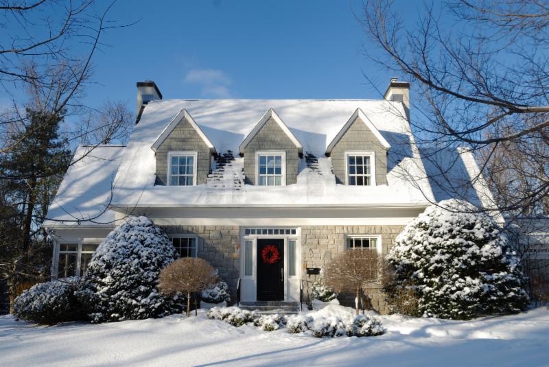 Home with landscaping in winter