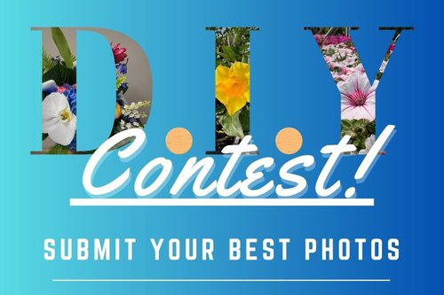 DIY Contest by Hoffmann Hillermann Nursery and Florist - www.hillermann.com