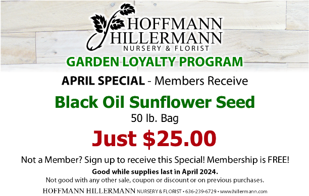 Hoffmann Hillermann Nursery and Florist Garden Loyalty Program - April 2024 Special - Staff created graphic by Diane O.