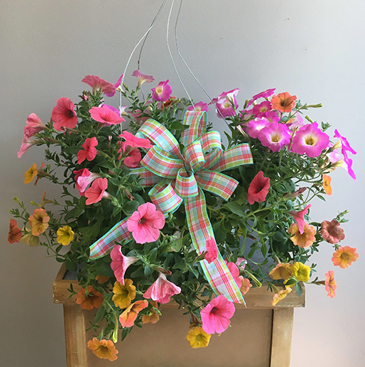 Blooming Annual Plant Hanging Basket with a bow - available at Hoffmann Hillermann Nursery and Florist - www.hillermann.com. Staff photo by Julie B.