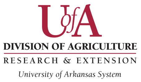 University of Arkansas System Division of Arkansas Logo