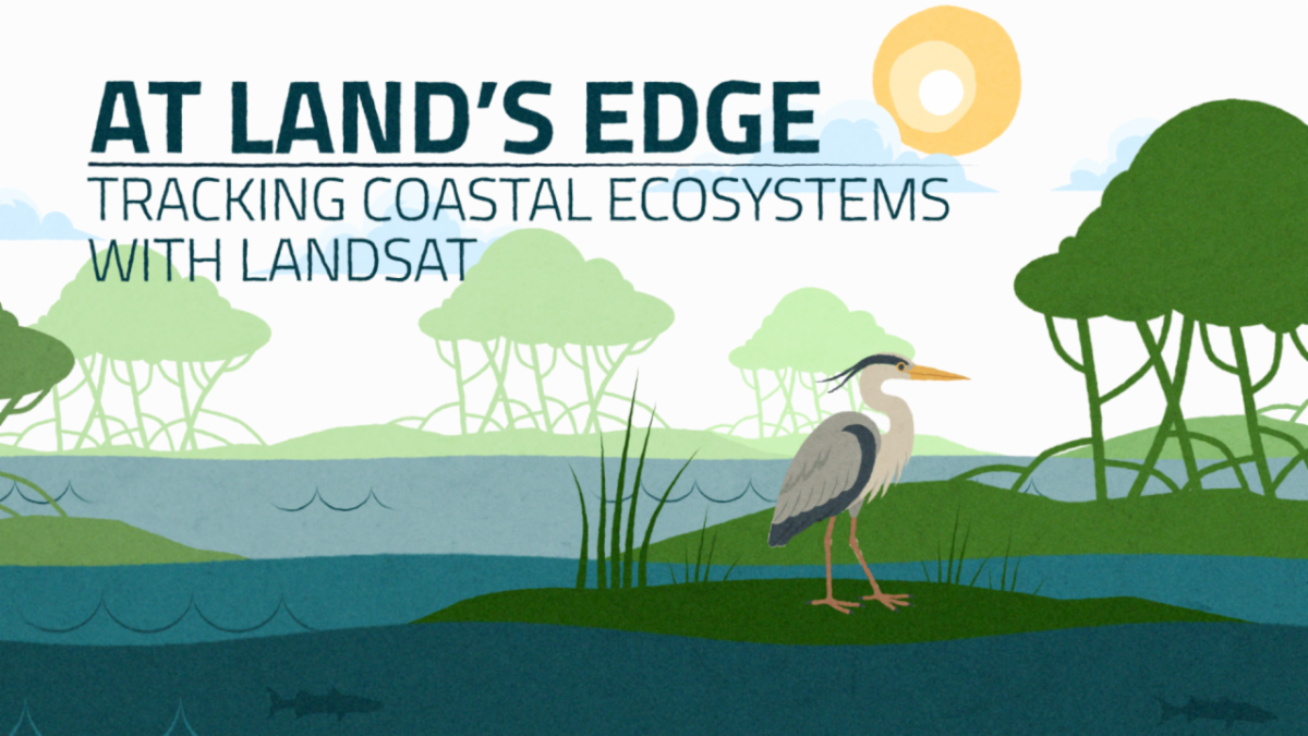 Video thumbnail that reads At Land's Edge Tracking Coastal Ecosystems with Landsat on two lines. In the graphic are vector drawings of a pelican and trees and water and the sun.