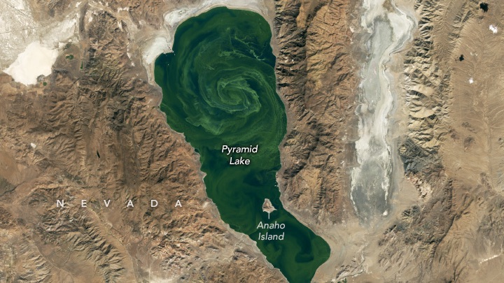 A natural-color Landsat 9 satellite image of Pyramid Lake, Nevada, revealing swirling patches of blue-green algae within the green waters. Text in the image pinpoints Pyramid Lake, Anaho Island, Nevada, and Truckee River. 