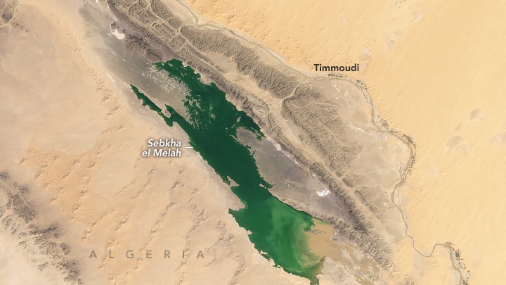 A natural-color Landsat 9 satellite image of Sebkha el Melah, an ephemeral lake in Algeria. Text in the image pinpoints Timmoudi, Sebkha el Melah, and Algeria. The image was acquired on September 29, 2024, after runoff from rainfall filled up the lake. 