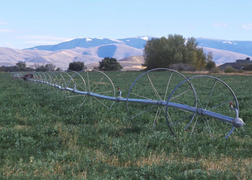 A wheel line irrigation system in Idaho. 