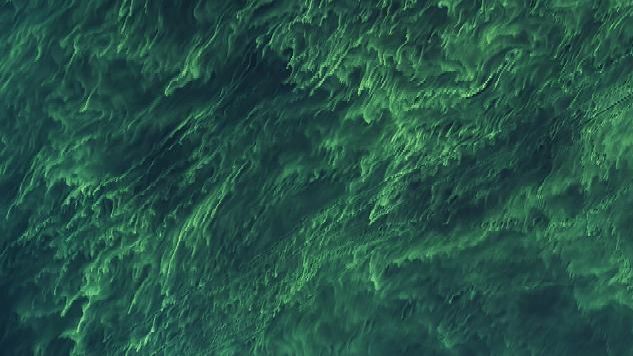 A detailed view of a central part of the Baltic sea shows the same filaments of bright yellow and green. A tiny white fleck on the right side is a boat. A thin straight black line trails behind the boat.