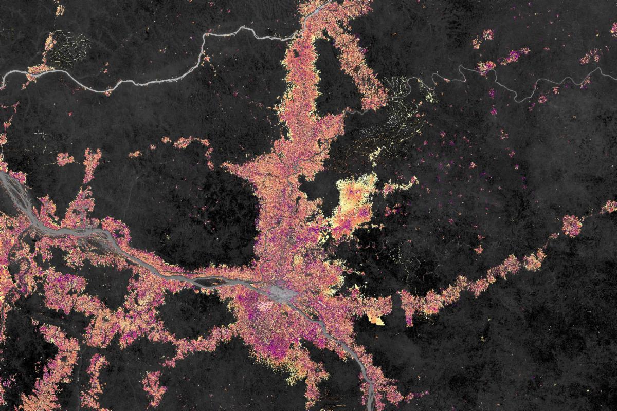 A satellite-based map shows forest loss around Kisangani in the Democratic Republic of the Congo between 2001 and 2024. Areas of loss appear in shades from purple (earlier years) to yellow (recent years) concentrated along the Congo River near Kisangani and around agricultural zones. Labels mark Banalia the Lindi River and the Congo River. Forested areas are dark gray.