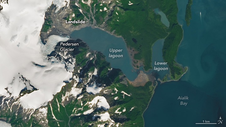 A natural-color Landsat 9 satellite image of southern Alaska near the Pedersen Glacier. White text in this image highlights a landslide, the Pedersen Glacier, Upper lagoon, Lower lagoon, and the Ajalik Bay. This image shows where a landslide slid into the Upper lagoon acquired on August 20, 2024.