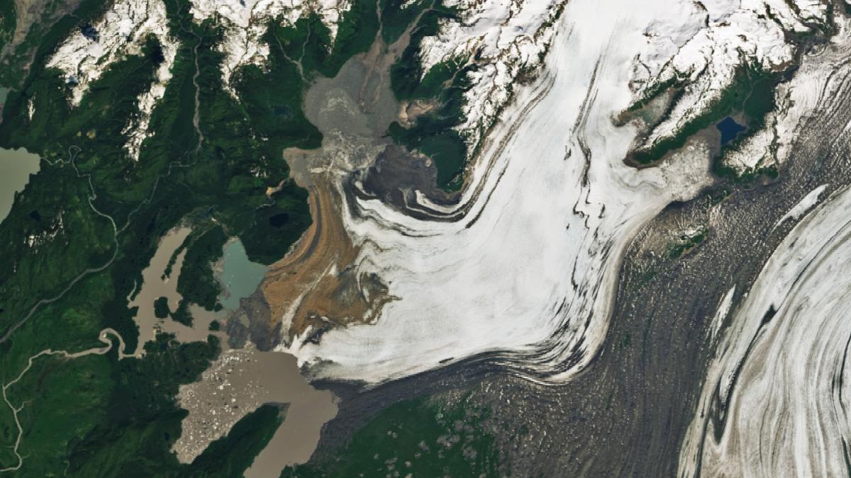The Steller Glacier in Alaska runs from the top of the frame and bends to the left like a backward “L” in a satellite image from June 2024. Berg Lake and other lakes border the glacier’s terminus which has receded noticeably from its 2003 extent. Berg Lake’s previous drainage path is filled in with vegetation and a label indicates it runs to the south instead. The left side of the image is green with vegetation and interrupted by riverbeds.