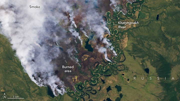 Detailed natural-color Landsat 8 image of a large fire burning in the Abyysky district of Yakutia, a region of northern Russia also known as the Republic of Sakha. Burned areas appear brown. Darker green areas are forested and likely include dwarf larch and birch. Tundra grasses, mosses, and lichen are dominant in the lighter green areas. The image was acquired on July 10, 2024.