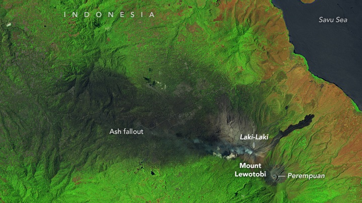 The false-color image, acquired by the OLI-2 (Operational Land Imager-2) on Landsat 9, shows Laki-Laki on November 5, 2024. The landscape to the west of the crater was darkened by ash fallout from the recent eruptions.
