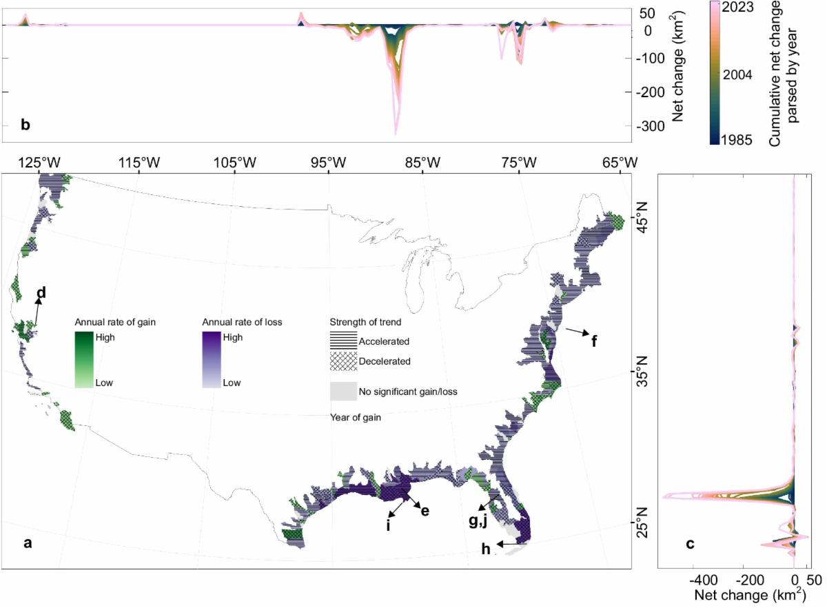 Occurrence of color cells, green, purple, and black, indicates the annual trend of loss, gain, and no significant change, respectively, at subbasin hydrological units during the 1985–2023 period. The horizontal or crossing stripes present the accelerated or decelerated trend, and when the symbols for accelerated and decelerated are absent, the strength of the trend is not significant. Temporal trends were estimated using Sen’s slope and assessed for significance using the Mann-Kendall test at the 95% confidence interval. b, c,  Cumulative net change amounts from 1985 to 2023 along the longitude (b) and latitude directions (c) respectively.