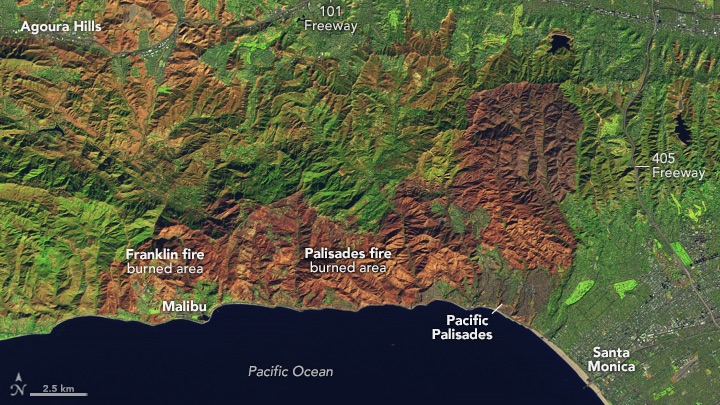 A false-color image of the Palisades Fire that combines shortwave infrared, near infrared, and visible components (OLI bands 6-5-3) of the electromagnetic spectrum. This band combination makes it easier to identify unburned vegetation (green) and recently burned landscape (light to dark brown).